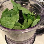 spinach + ingredients process